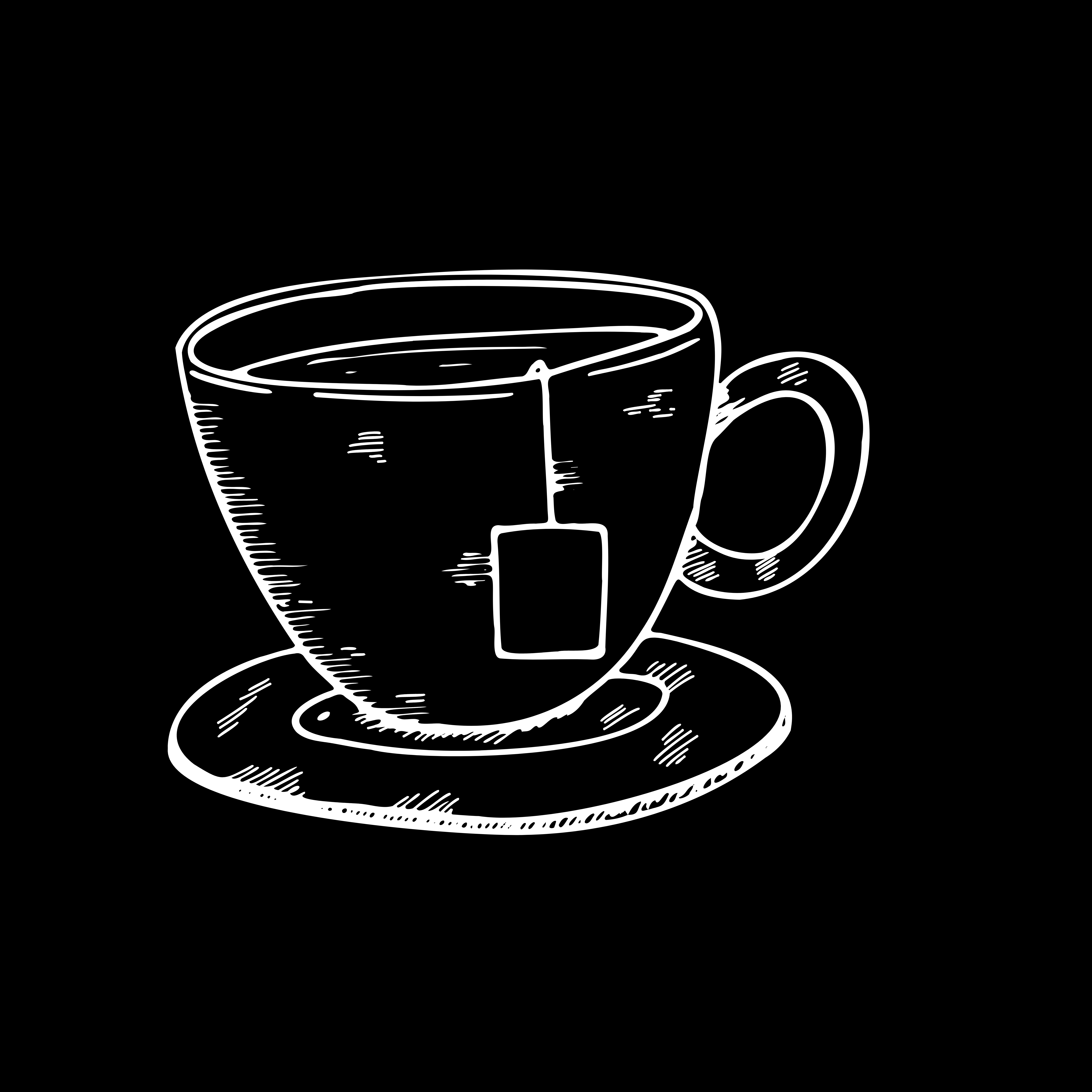 چای ماسالا رژِیمی